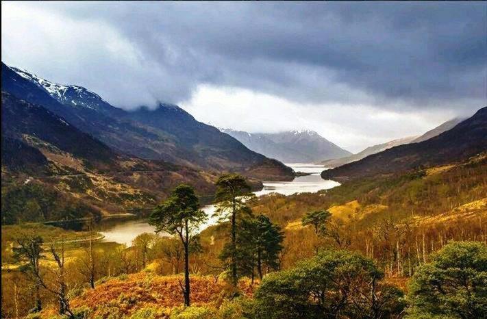 Forest View Guest House Kinlochleven Buitenkant foto